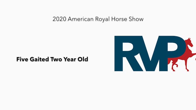 2020 AR - Class 52 Five Gaited Two Ye...