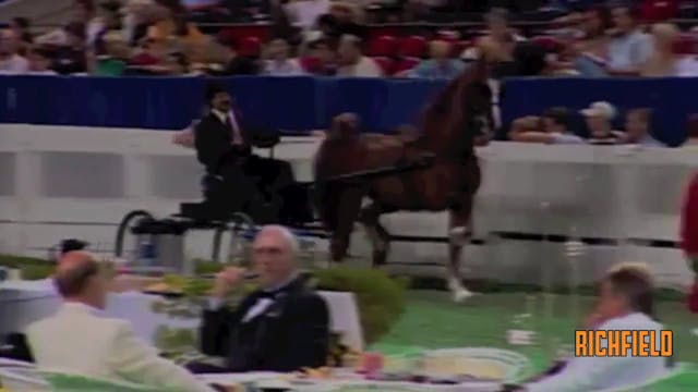 2001 WCHS - Class 57 - Amateur Gentle...