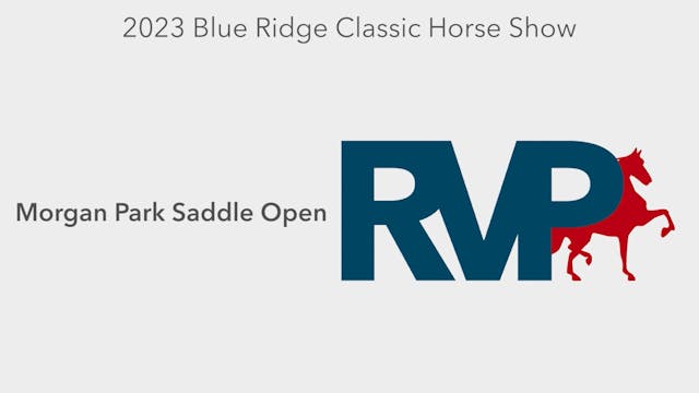 BR23 - Class 117 - Morgan Park Saddle...