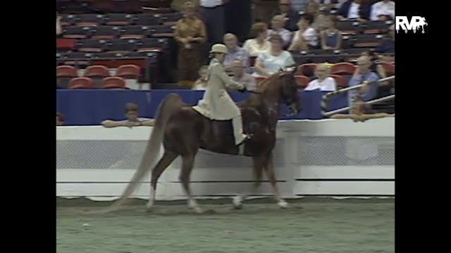 1996 WCHS - Class 80 - Junior Exhibit...