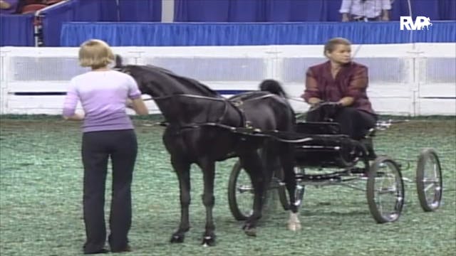 2006 WCHS Class 60 Harness Pony Stall...