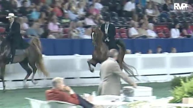 2010 World's Championship Horse Show ...