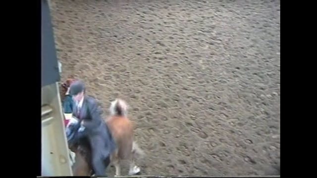 Des Moines Spring Horse Show 1995 - 3...