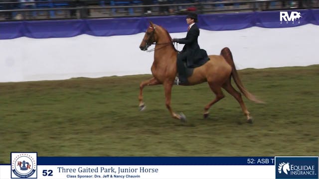 AR24 - Class 52 - Three Gaited ParkJr...