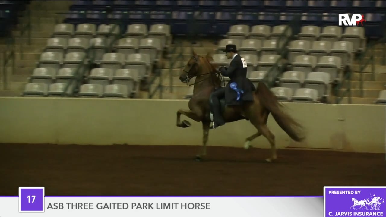 SSFF18 - Class 17 - Carefree Memories