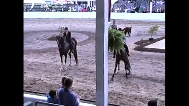 2006 MCF - Class 23 Amateur Five Gait...