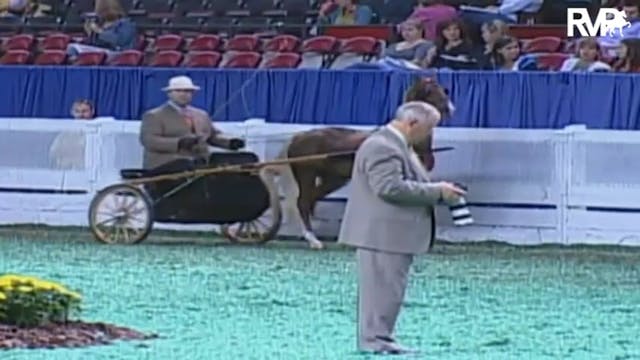 2009 World's Championship Horse Show ...