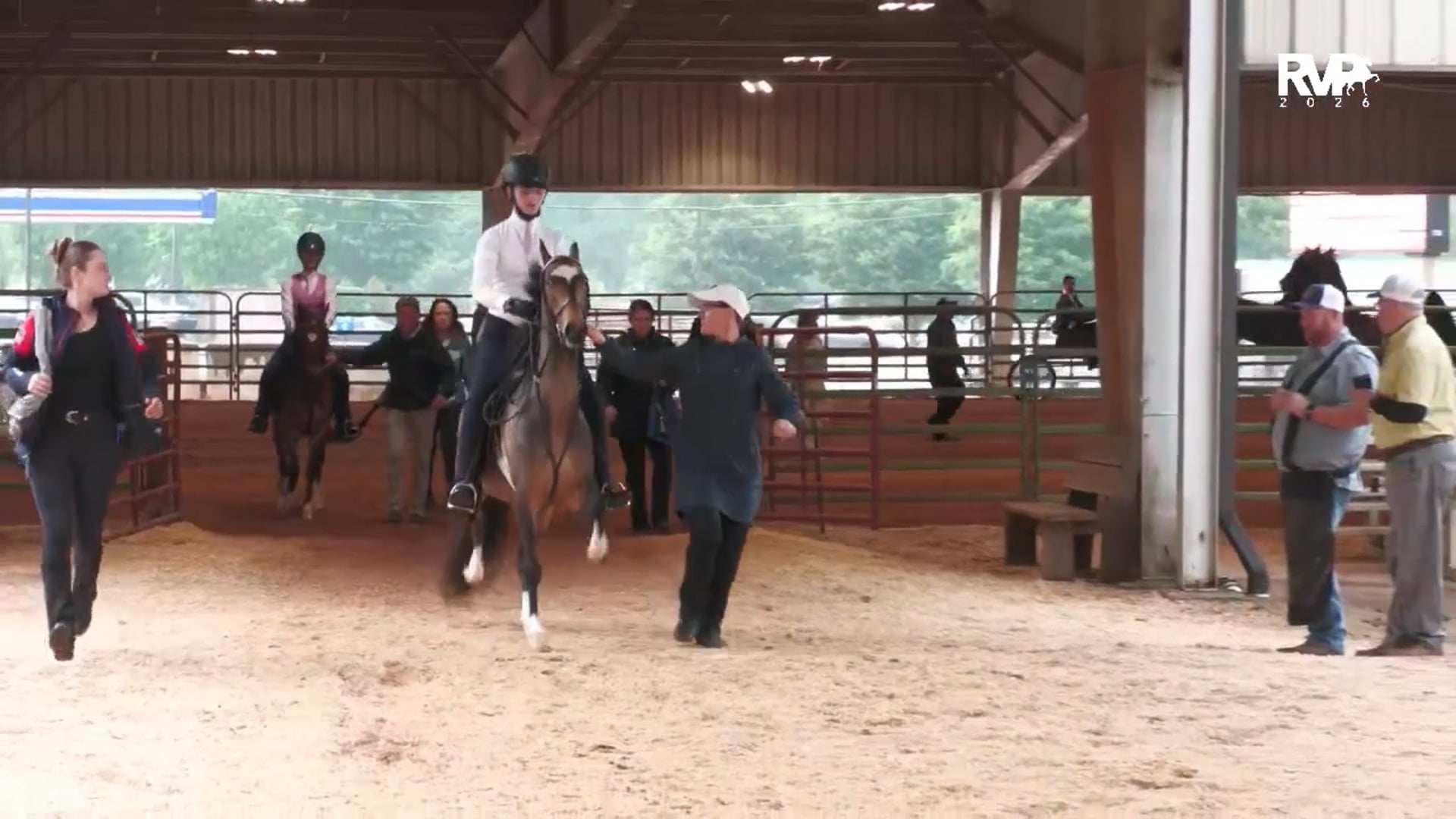 ASC26 - Class 20.1 - Hackney Pleasure Pony Under Saddle Jr Exhibitor