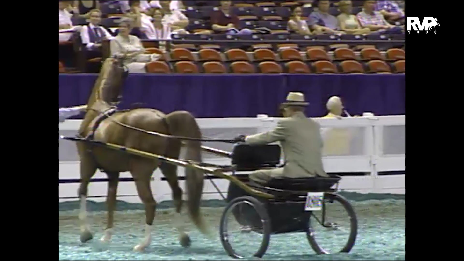 1999 WCHS - Class 29 ASHA Amateur Futurity of Kentucky Three Year Old Show Pleasure Driving