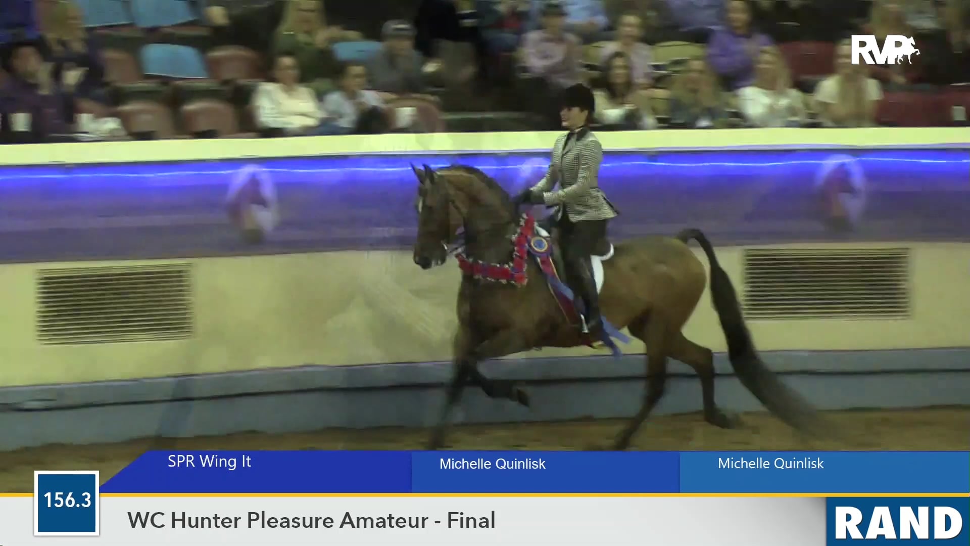 MGN19 - SPR Wing It - Class 156