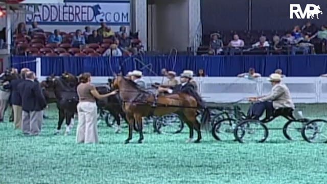 2009 World's Championship Horse Show ...