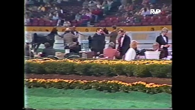 WCHS87 - American Hackney Horse and P...