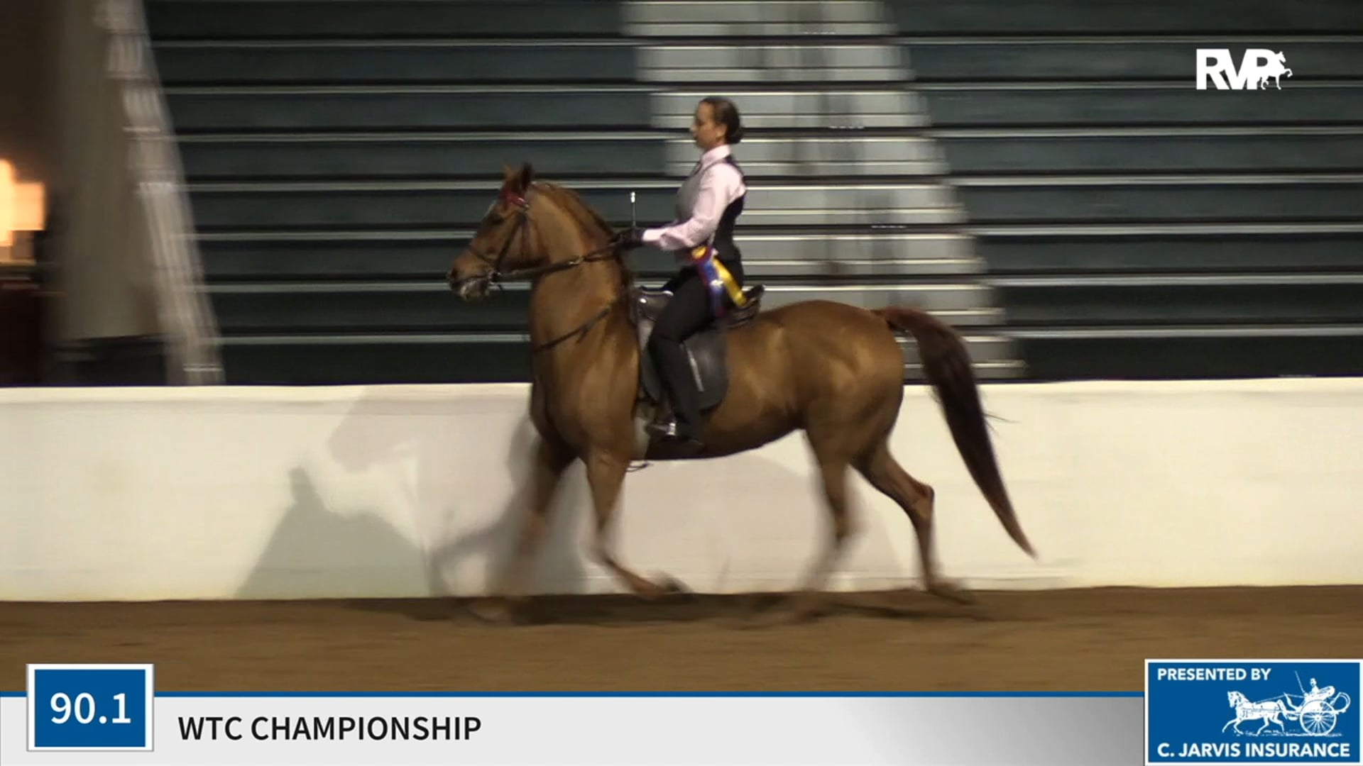 2020UPHA16 - Class 90.1 - Denise Howerton, up Championship 