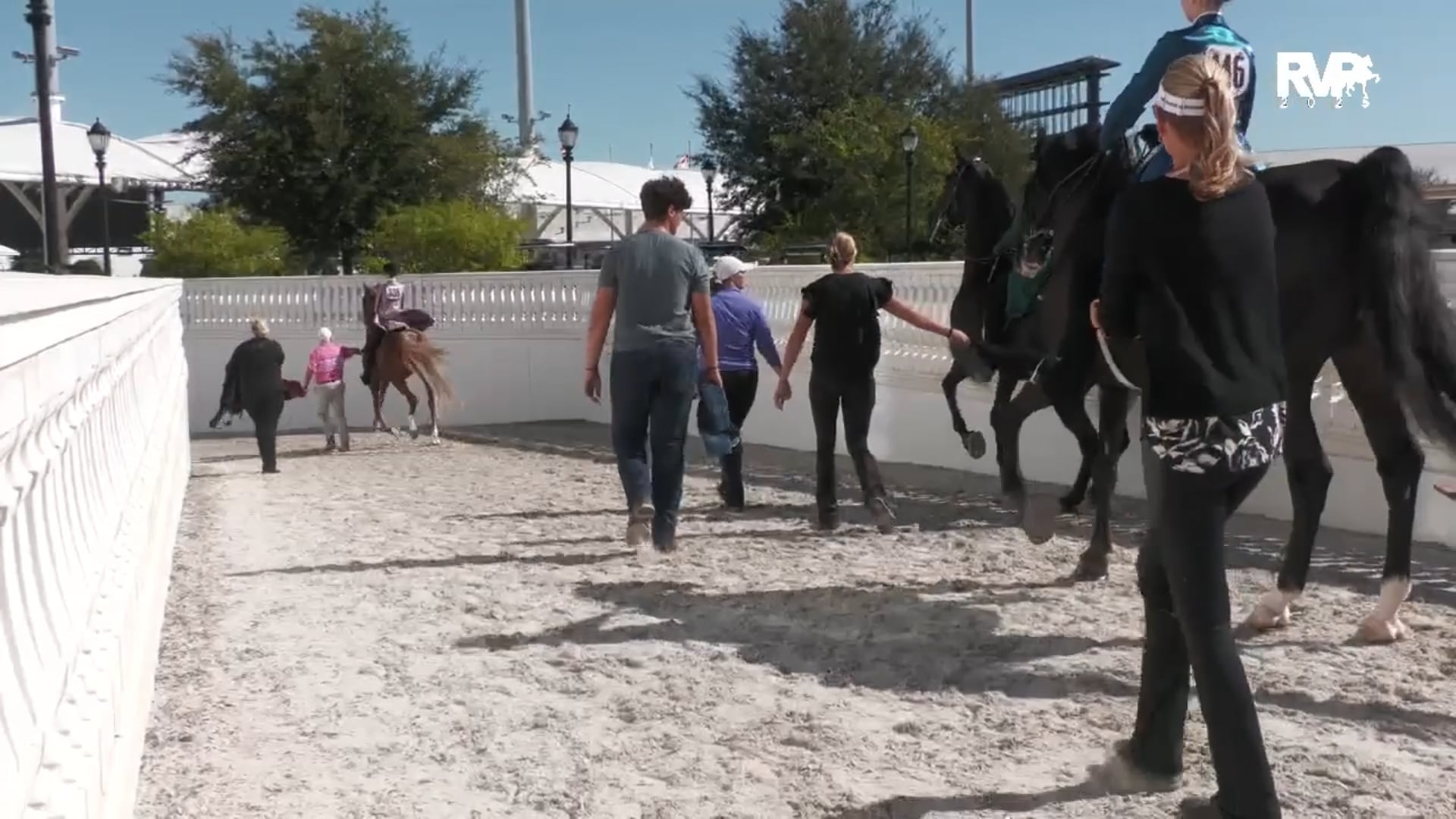 OI25 - Class 133 -  ASB Three Gaited Show Pleasure Junior Exhibitor Championship