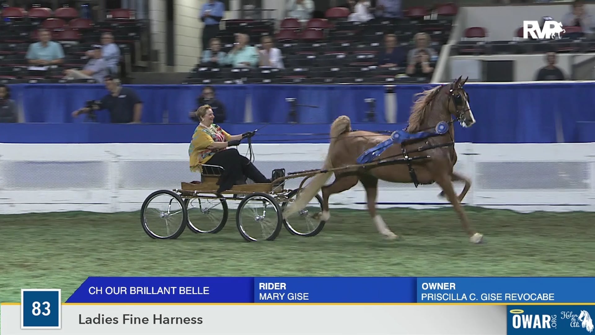 WCHS19 - Class 83 - CH Our Brillant Belle