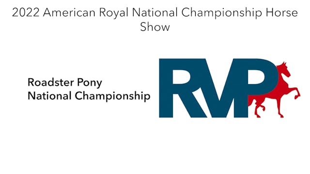 AR22 - Class 186 - Roadster Pony Nati...