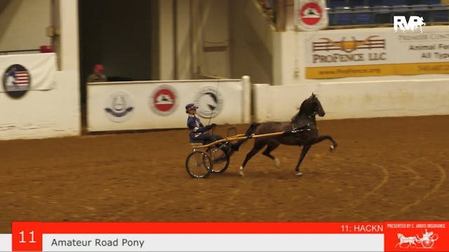 ASHAV23 - Class 11 - Amateur Road Pony