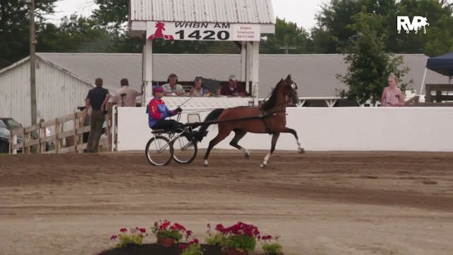 MCF23 - Class 3 -  Amateur Road Pony