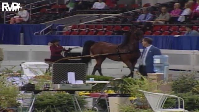 2004 World's Championship Horse Show ...