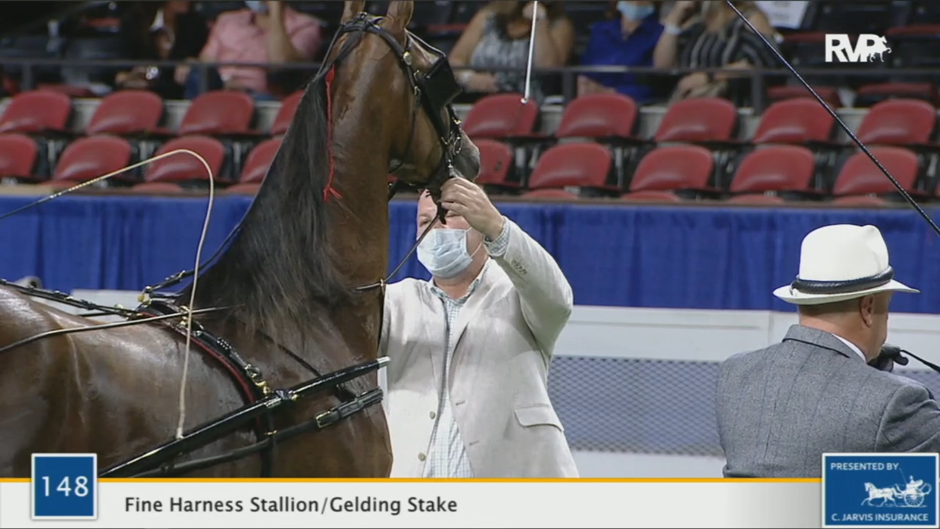 WCHS 2020 Class 148 - Fine Harness Stallion/Gelding Stake