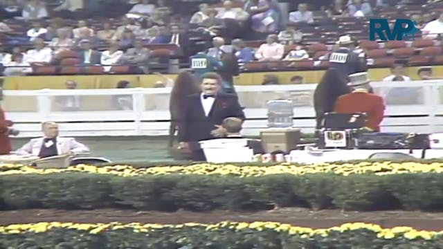 1987 WCHS Class 66 3 Gaited Junior Ex...