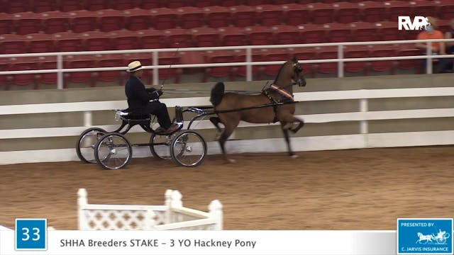 2020 ASF - Class 33 SHHA Breeders Sta...