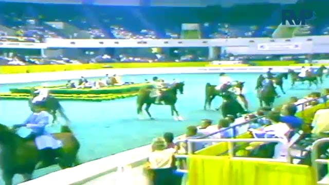 1987 WCHS Class 16 Three Gaited Jr Ex...