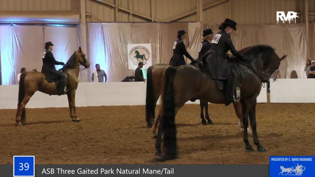 GASP21 - Class 39 - ASB Three Gaited ...