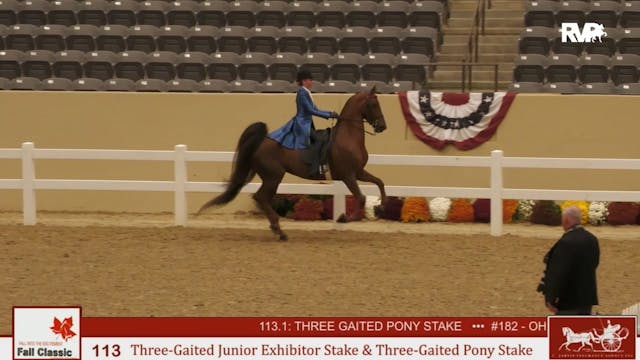 KFC24 - Class 113 - Three Gaited Jr E...