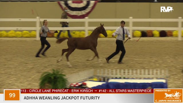 KFC 2020 - Class 99 ADHHA Weanling Ja...