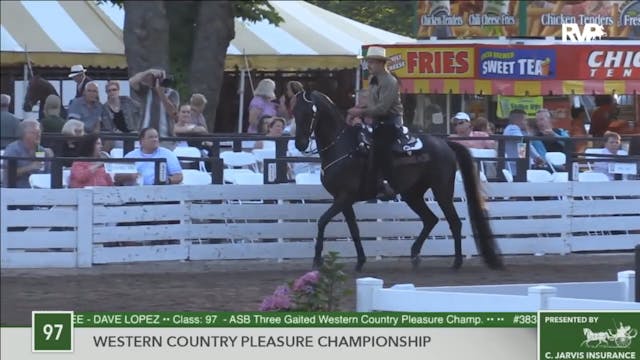 2016 RC - Class 97 Western Country Pl...