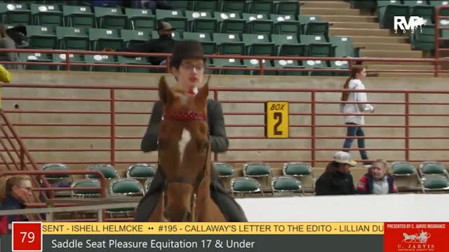 PA21 - Class 79 Saddle Seat Pleasure ...