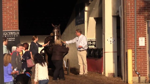 RR17 Dunham Show Horse Championship