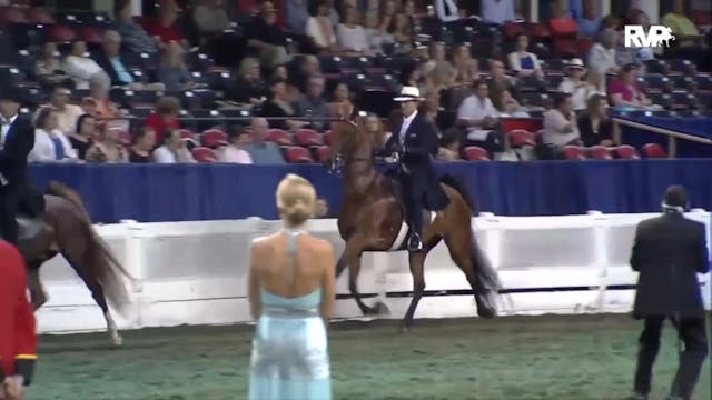 2012 WCHS - Class 94 Amateur Gentleme...