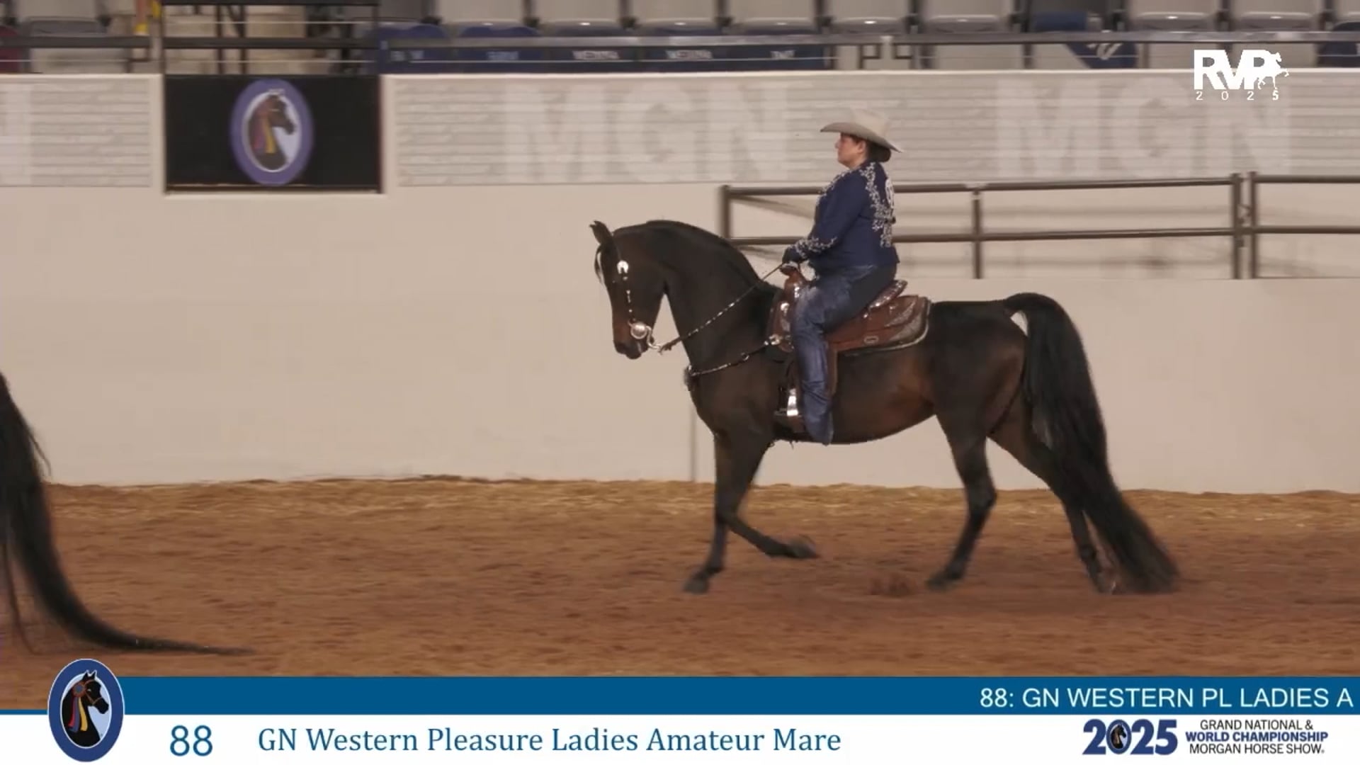 MGN25 - Class 88 - GN Western Pleasure Ladies Amateur Mare