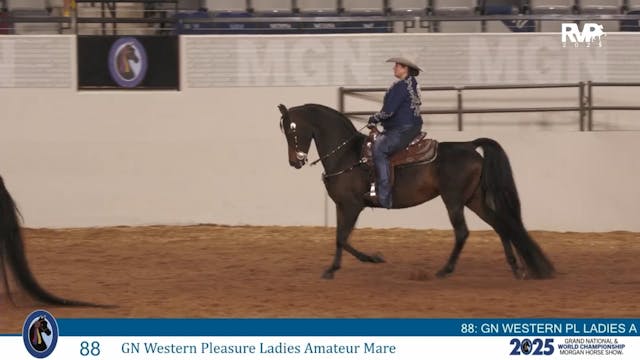 MGN25 - Class 88 - GN Western Pleasur...