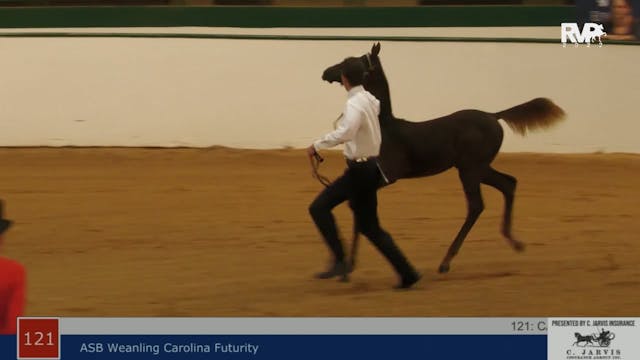 NCSC22 - Class 121 - Carolina Futurit...