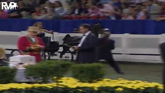 2004 World's Championship Horse Show ...