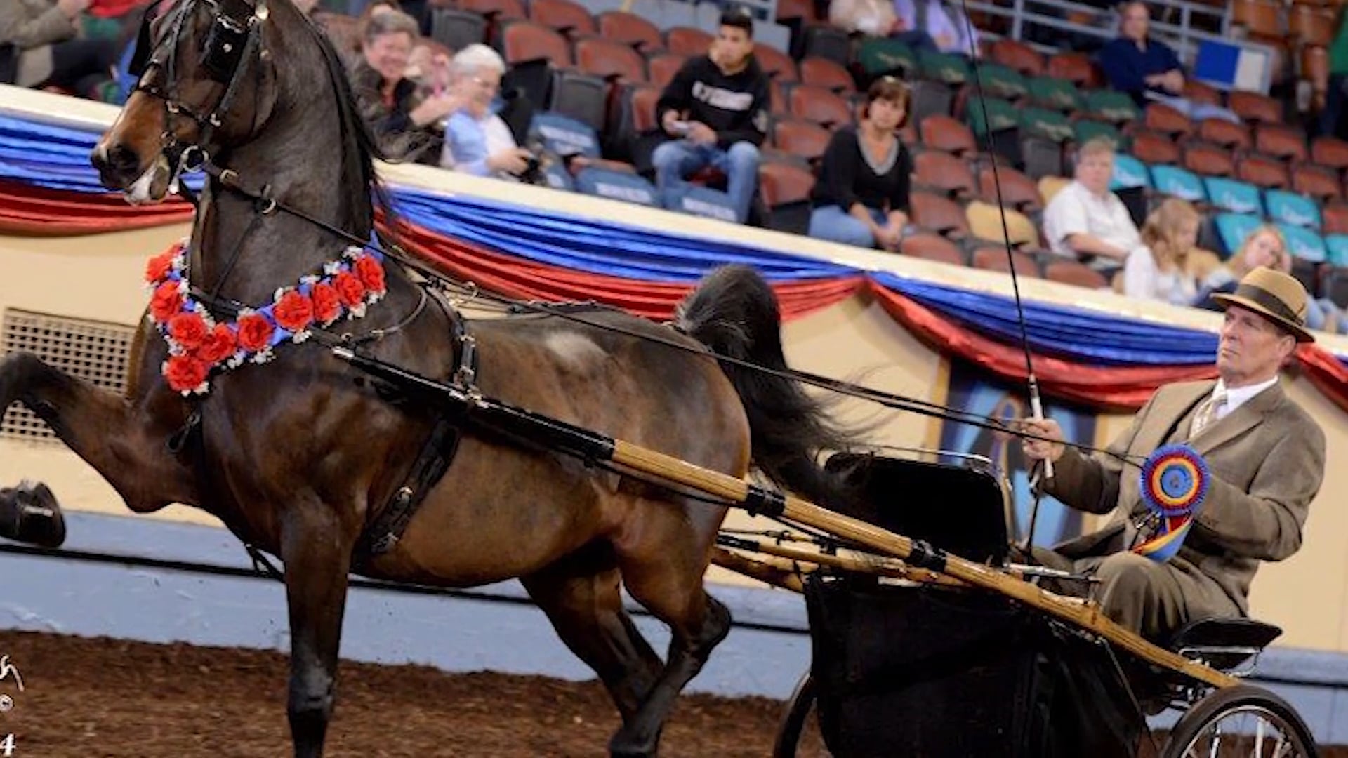 Jim and Jenny Taylor - Tom Moore Hall of Fame 2018
