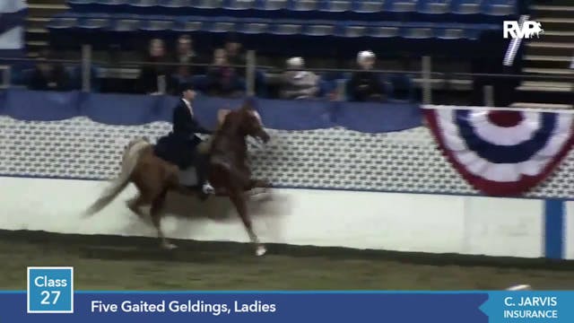 2014 KC - Class 27 Ladies Five Gaited...