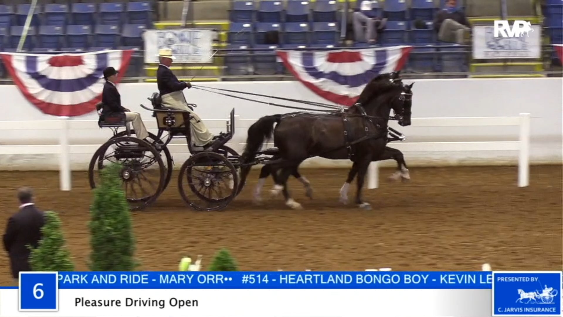 2020 BB - Class 6 Pleasure Driving Open