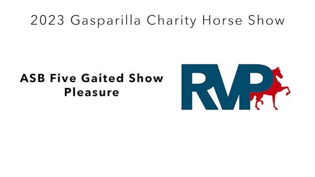 GASP23 - Class 48 - ASB Five Gaited S...