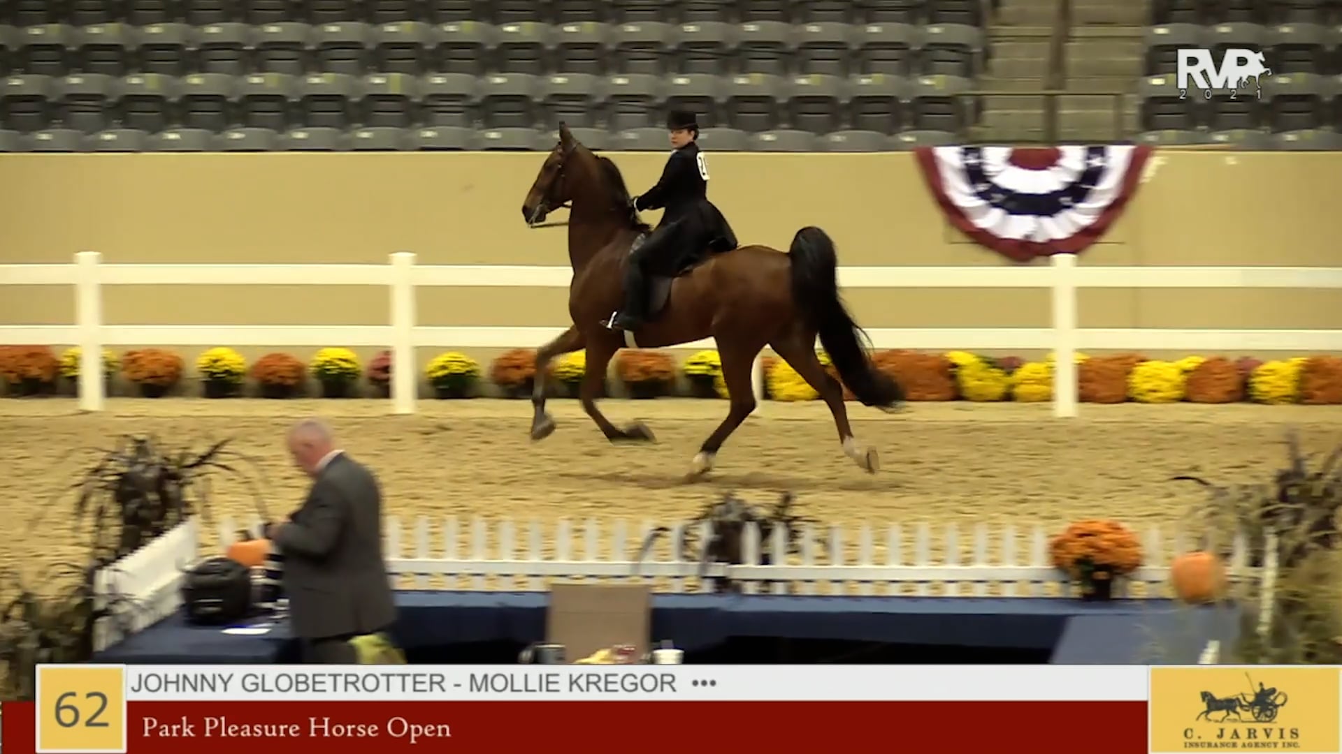 KYFC21 - Class 62 - Park Pleasure Horse - Open
