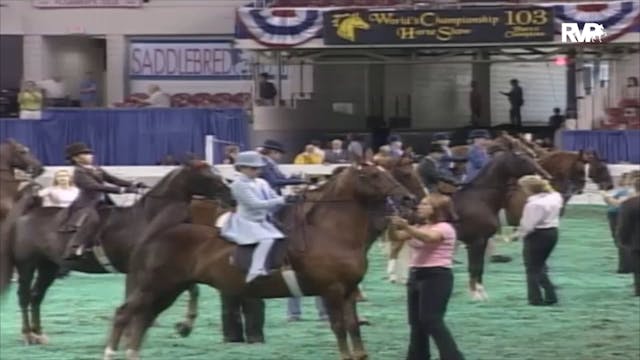 2006 WCHS Class 113 Equitation Open W...