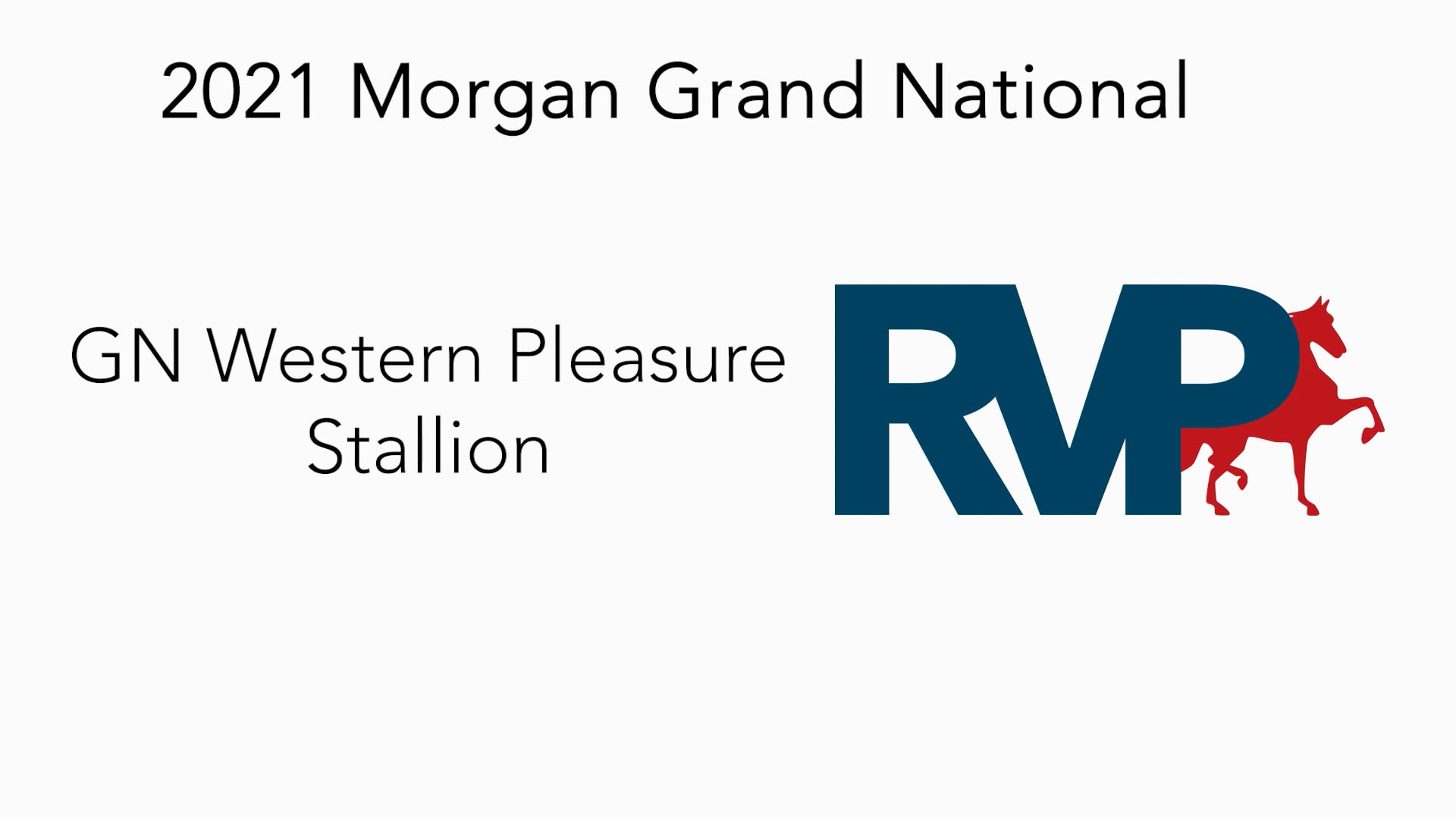 MGN21 - Class 45 - Western Pleasure Stallion