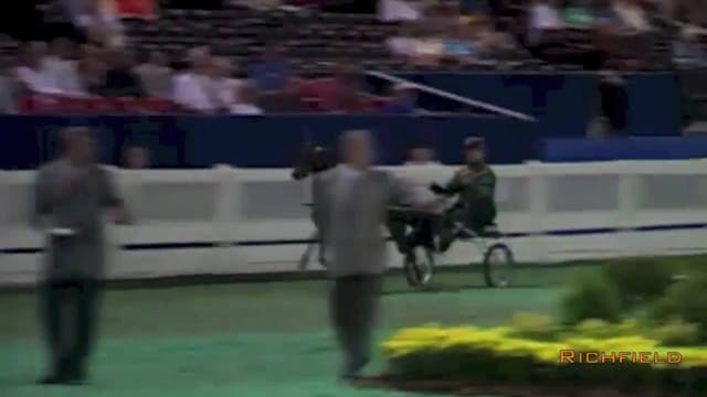 2001 WCHS - Class 39 - Roadster Pony ...