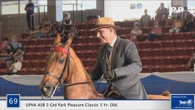 BR20 - Class 69 UPHA ASB Three Gaited...