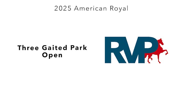 KC25 - Class 35 - Three Gaited Park Open