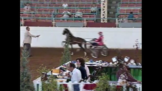 1990 Illinois State Fair - Roadster t...