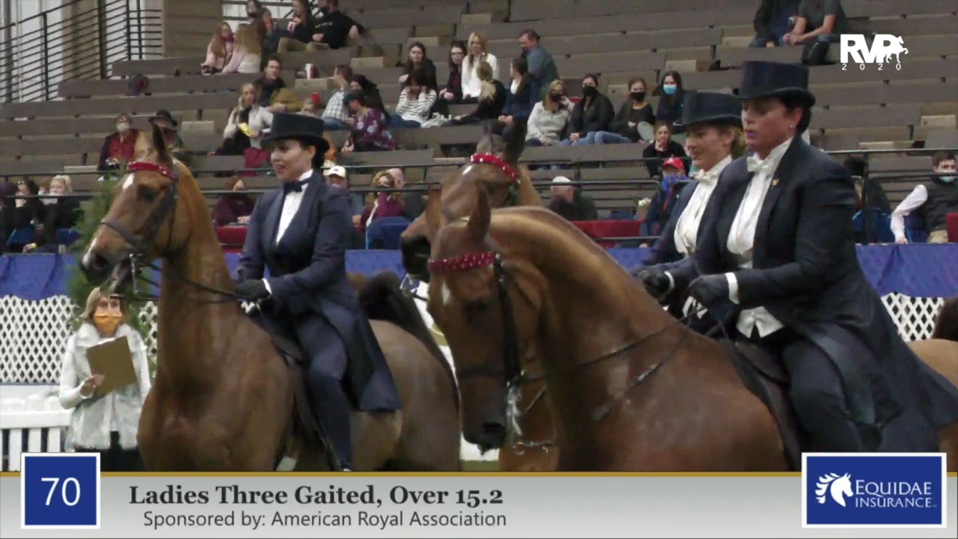 2020 AR - Class 70 Ladies Three Gaited Over 15.2